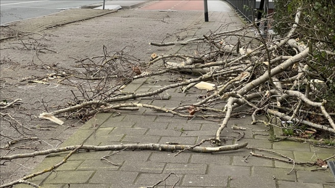 Avusturya’da şiddetli fırtına nedeniyle devrilen ağaçlar 2 çocuğun ölümüne yol açtı