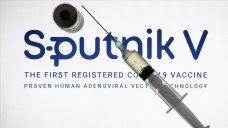 AB: Rusya kendi aşısını satmak için diğerleri hakkında dezenformasyona başvuruyor