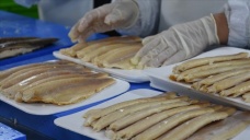 Afyonkarahisar'daki işletme devlet desteğiyle balık ihracatını artırdı