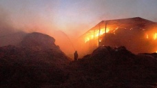 Ankara’daki çiftlik yangınında büyük hasar