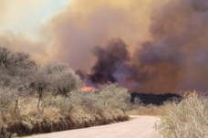 Arjantin’deki orman yangınlarında 3 bin 900 hektarlık alan kül oldu