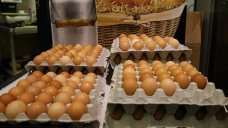 Avrupa'da böcek ilaçlı yumurta skandalı yayılıyor