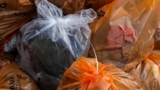 Batı Afrika'daki ada ülkesi Kabo Verde'de plastik poşet kullanımına yasak geldi