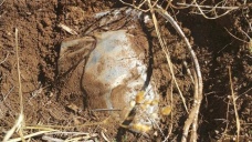 Bingöl'de tespit edilen el yapımı patlayıcı imha edildi