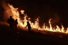 Brezilya’da dilek fenerinin düştüğü parkta yangınla mücadele sürüyor
