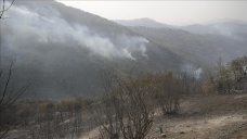 Cezayir’in et-Tarif ile Setif kentlerinde orman yangınlarında 26 kişi hayatını kaybetti
