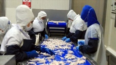 Çin pazarına yapılan tavuk ayağı ihracatında hızlı yükseliş