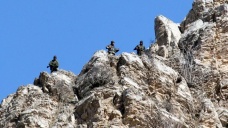 Çukurca'da mağarada saklanan 7 terörist etkisiz hale getirildi