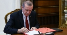 Cumhurbaşkanı Erdoğan’dan milli halterciye tebrik telgrafı