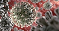 Endonezya’da yeni korona virüs mutasyonu ortaya çıktı