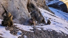 Erzincan'da teröristlerin kullandığı mağara ve barınaklardaki yaşam malzemeleri imha edildi