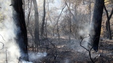 Fethiye'deki orman yangını söndürüldü