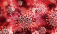 Fransa'da, bir kişide mutasyona uğramış koronavirüs görüldü