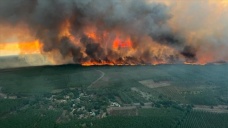 Fransa'nın Bouches-du-Rhone vilayetindeki yangında 125 hektardan fazla yeşil alan yandı