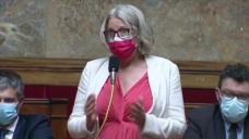 Fransız milletvekili Chapelier'den 'ülkede sadece başörtülü kadınlar hedef alınıyor'