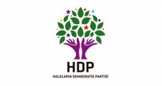 HDP Kocaeli İl Başkanına ev hapsi cezası