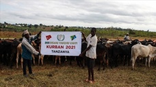 İHH, Tanzanya'da 200 büyükbaş kurban kesimi yaptı