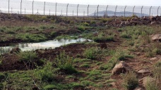 İsrail kanalizasyon sularını Suriye'ye akıtıyor