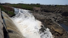 İstanbul'da Ayamama Deresi'ndeki kirli suyla ilgili inceleme yapıldı