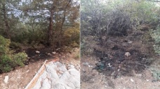 İzmir'de 4 ayrı noktada çıkan orman yangınlarına ilişkin yakalanan terör örgütü zanlısı tutukla