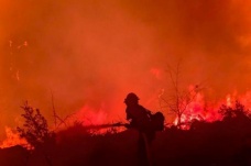 Kaliforniya'da orman yangını evleri küle çevirdi