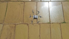 Kırıkkale'de dron ile çeltik ekim mesaisi başladı