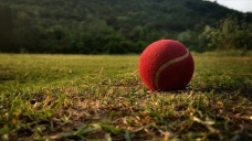 Kriket camiası 2028 Olimpiyatları'nda yer almak istiyor