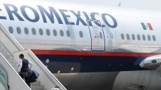 Meksika uçağında yılan korkusu