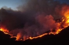 Meksika’da 33 ayrı noktada aktif orman yangını bildirildi
