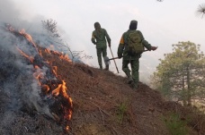 Meksika’da 71 orman yangınıyla zorlu mücadele devam ediyor