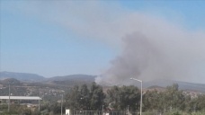 Mersin'de orman yangını çıktı