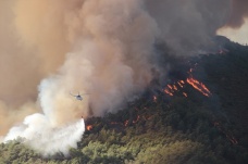 Muğla'da yanan alan 40 bin hektara yaklaştı