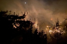 OGM: “Bugün çıkan 13 orman yangınının tamamını kontrol altına aldık”