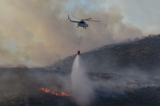 Orman Genel Müdürlüğü: 'Bugün çıkan 7 orman yangınının tamamını kontrol altına aldık'