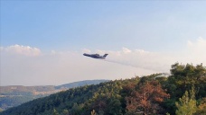 Rusya, Türkiye'ye orman yangınıyla mücadele için 11 hava aracı gönderecek