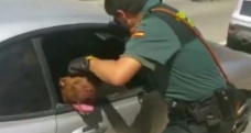 Sıcağın altındaki araçta ölüme terk edilen köpeği polis kurtardı