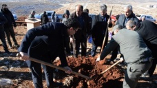 Siirt'te 30 bin fıstık fidanı toprakla buluştu