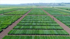 TAGEM'den tarımsal Ar-Ge projelerine 100 milyon liralık destek