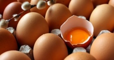 Tavuk yumurtası üretimi Haziran ayında azaldı