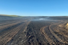 Tekirdağ’da bin dönüm buğday tarlası yandı