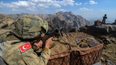 Terör örgütü PKK'dan kaçan iki terörist güvenlik güçlerine teslim oldu