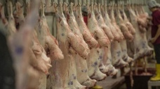 Türk Kızılayı, 30 ülkede kurban eti dağıtacak