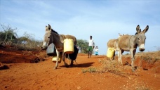 Uluslararası kuruluşlardan 'Afrika'nın doğusunda açlık bekleniyor' uyarısı