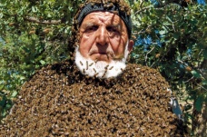 Üzerine 50 bin arı konuyor, maskesiz çalışıyor