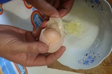 Yumurtanın içinden yumurta çıktı!